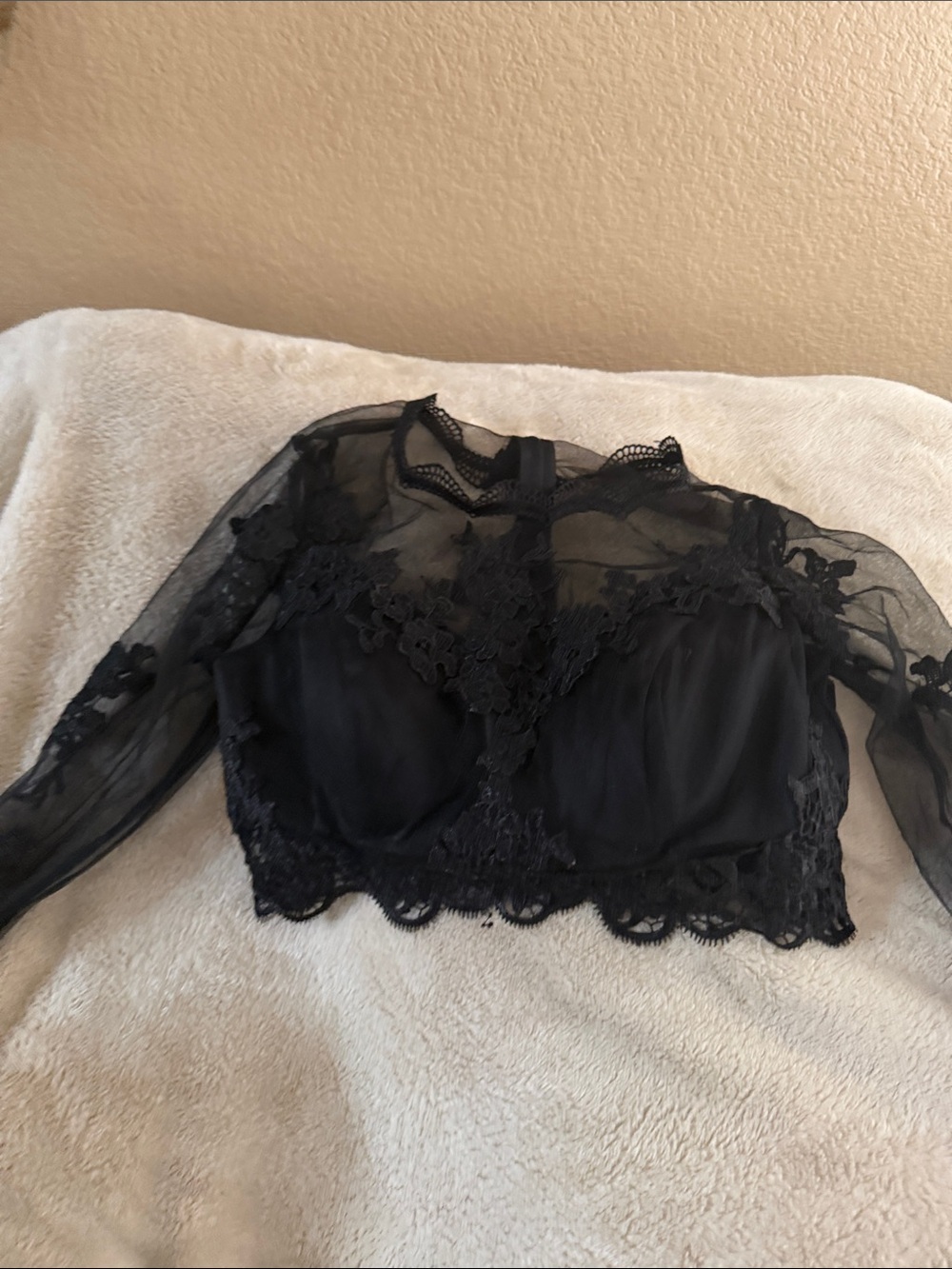 Black Lace Sheer Long-Sleeve Crop Top - Unknown Brand